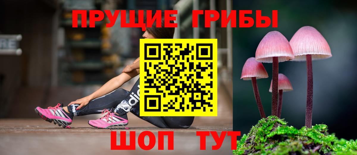 Псилоцибиновые грибы MAGIC MUSHROOMS  где можно купить   Чехов  Вход с VPN 